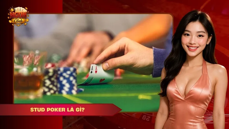 xì tố có mấy loại